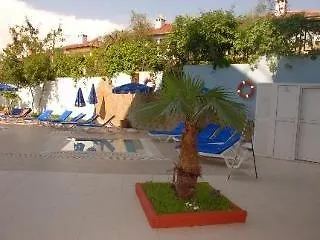 酒店 Palmiye Garden