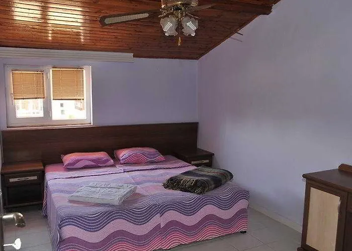 Palmiye Garden 3* סייד